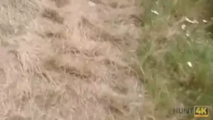Vídeo picante de uma novinha ousada se exibindo na pracinha
